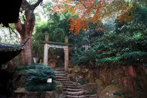Tour image of Half-Day Hangzhou Jiuxi Stream and Tea Plantation Experience