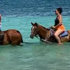 Image of Horseback Riding