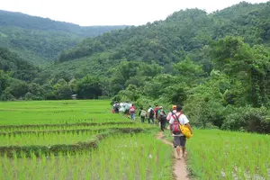 Tour image of Trek to Tad Sae Waterfalls, Local Village