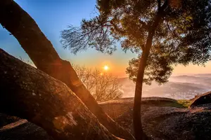 Tour image of Portugal Origin Guimaraes Private Tour