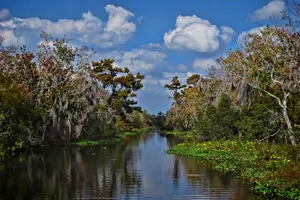 Tour image of Small-Group Bayou Airboat Ride with Transport from New Orleans
