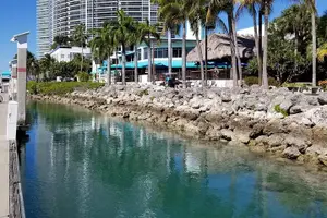 Tour image of 24 Ft Miami Bay: Private Boat, Gas Included , 8 people, Captained