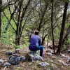 Image of Wildlife Watching