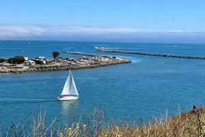 Tour image of Private Sailing Tour of Bodega Bay