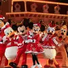 Image of Amusement Parks
