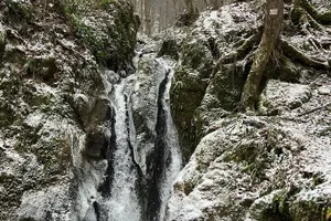 Tour image of One day Escape to the Countryside of Banat
