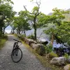 Image of Bike Rentals