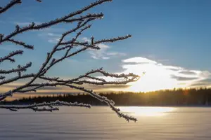Tour image of Polar Sunrise Eco Experience (10:00-13:00- driving the sled)