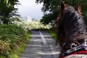 Tour image of Killarney National Park Tour