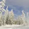 Image of Nature and Wildlife Tours