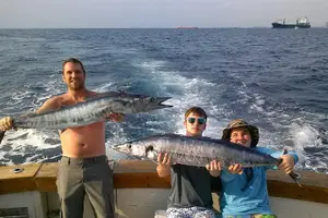 Tour image of Private 4-Hour Big Game Deep Sea Fishing Charter in Fort Lauderdale