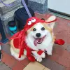 Image of Halloween