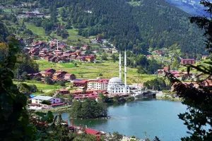 Tour image of Uzungol Tour: Full-Day Nature Adventure with Tea Factory Visit