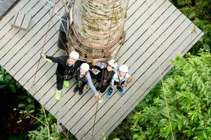 Tour image of Ocean View Zip Line + Horseback Riding & Natural Pool Combo