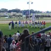 Image of Horse Racing