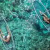 Image of Glass Bottom Boat Tours