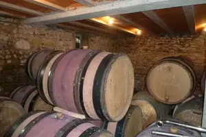 Tour image of Northern Rhône Valley Wine tour from Lyon Half Day