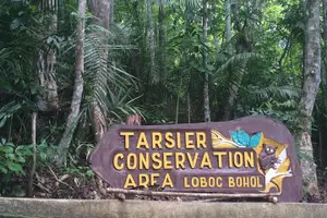 Tour image of Bohol Island Countryside Tour with Buffet Lunch River Cruise (Cebu or Bohol)