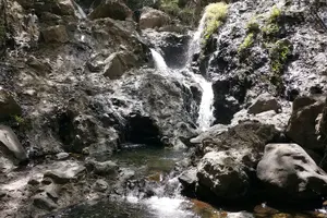 Tour image of 3 Hour Private Waterfall Hike in El Palmar