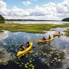 Image of Kayaking Tours