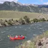 Image of Tubing