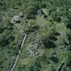 Image of Archaeology Tours