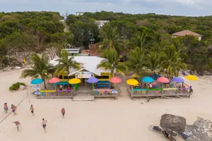 Tour image of Private Island Hopping Boat Tour and view the Turtles