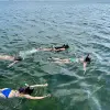 Image of Snorkeling