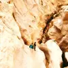 Image of Climbing