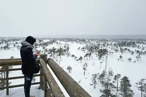 Tour image of Great Ķemeri Bog and Swamp Forest Hiking Adventure
