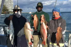 Tour image of 4-Hour Day or Night-Time Reef Bottom Fishing Charter in Fort Lauderdale