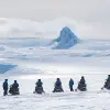 Image of Snowmobiling