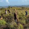 Image of Nature Walks