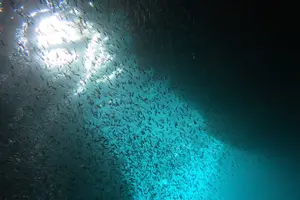 Tour image of Easily set sail by boat! / Blue cave snorkel