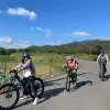 Image of Eco Tours