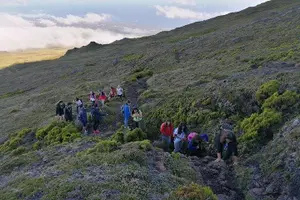 Tour image of Pico Mountain - Group> 4