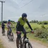 Image of Mountain Bike Tours