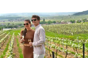 Tour image of The Secrets of Champagne by a Passionate Winemaker (English)