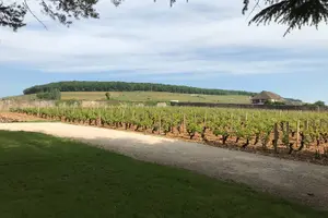Tour image of Full-day Private Burgundy Wine Route Tour from Beaune