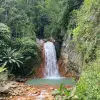 Image of Nature and Wildlife Tours