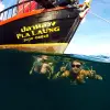 Image of Sightseeing Cruises