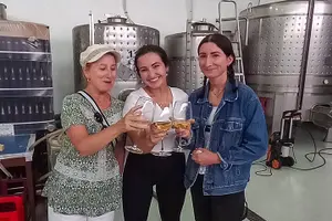 Tour image of 3 in 1 Tour from The Mountain to Cave with Wine