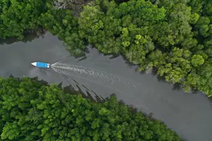 Tour image of Langkawi Private Guided Tour - Top Highlights In a Day