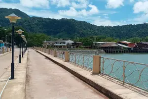 Tour image of Half Day Mangrove and Lanta Old Town Tour