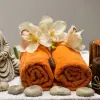 Image of Traditional Wellness