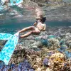 Image of Freediving