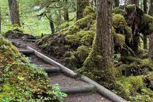 Tour image of Beautiful Hike on Tongass National Forest's Lunch Creek Trail