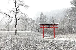 Tour image of Private Car Tour to Mt. Fuji Lake Kawaguchiko or Hakone