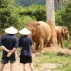 Image of Eco Tours