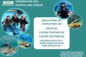 Tour image of Half-Day Scuba Diving Tour - Discover Scuba Diving!